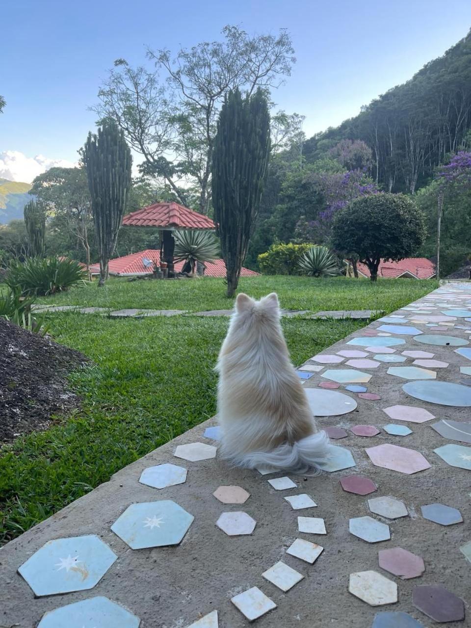 Pousada Caminhos De Gaia São Francisco Xavier Buitenkant foto