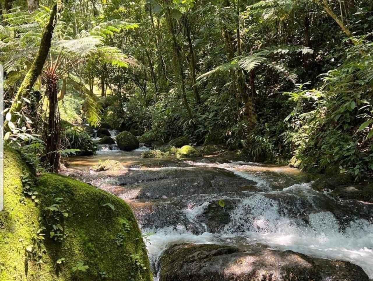 Pousada Caminhos De Gaia São Francisco Xavier Buitenkant foto