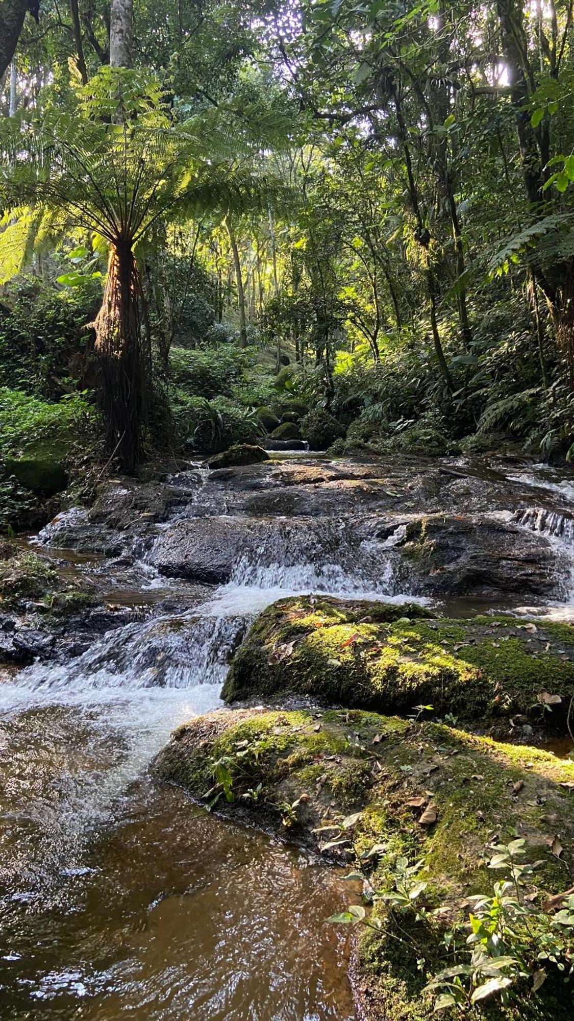 Pousada Caminhos De Gaia São Francisco Xavier Buitenkant foto